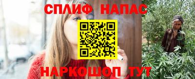 индика Сланцы