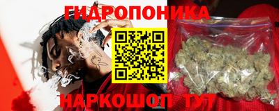 индика Сланцы