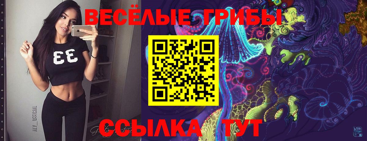 Галлюциногенные грибы Cubensis Мурино